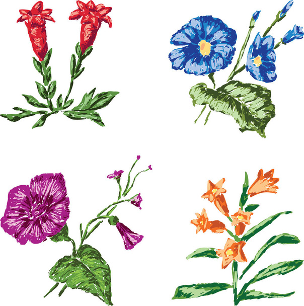 Un conjunto de diferentes flores silvestres dibujadas
 - Vector, Imagen