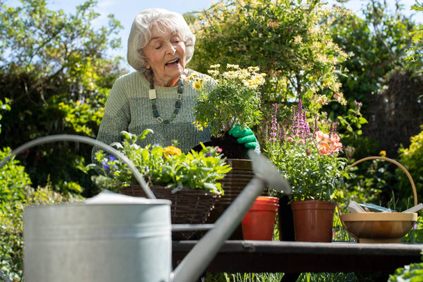 Senior Woman Potting Plant In Garden At Home - Фото, изображение