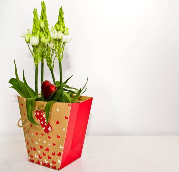 frische Frühlingsblumen im Geschenkkarton auf weiß - Foto, Bild