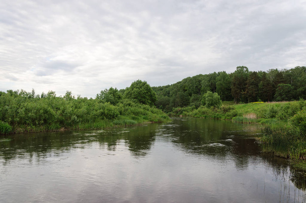 River in forest - Valokuva, kuva