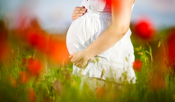 Jeune femme enceinte dans le champ de pavot
 - Photo, image