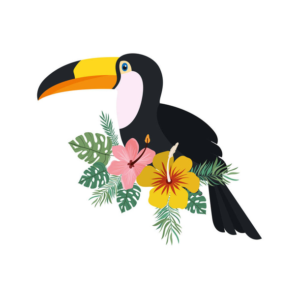 beautiful toucan on white background - ベクター画像