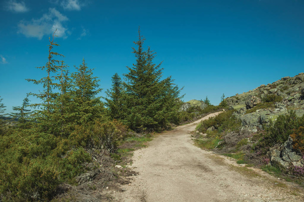 Trail passing through rocky terrain on highlands - Φωτογραφία, εικόνα