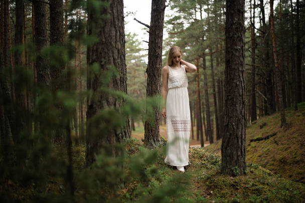 Περπάτημα όμορφη νεαρή ξανθιά γυναίκα δάσος νύμφη σε λευκό φόρεμα σε αειθαλή ξύλο - Φωτογραφία, εικόνα