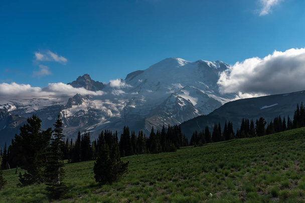Mount Rainier Ulusal Parkı'nın arka si, Washington, ABD - Fotoğraf, Görsel