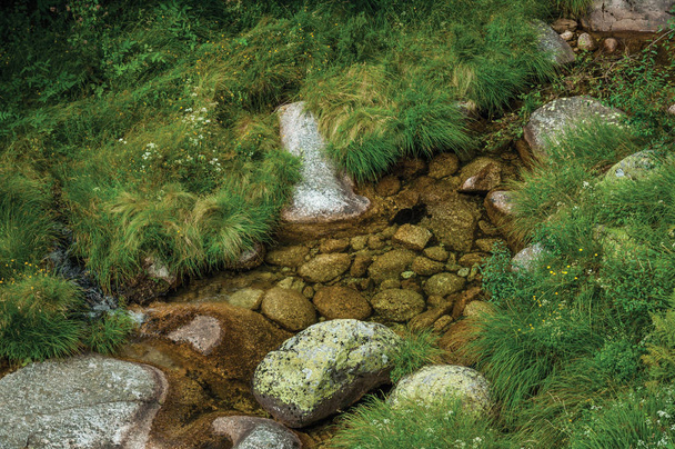Кристально чистая вода в ручье, протекающем через скалы
 - Фото, изображение