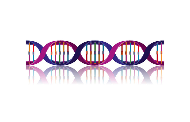 icona colorata orizzontale della scienza della catena del DNA
 - Vettoriali, immagini
