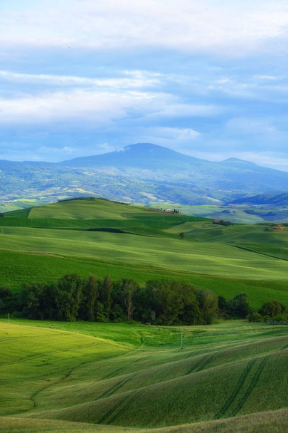 Colinas douradas da Toscana. Itália
 - Foto, Imagem