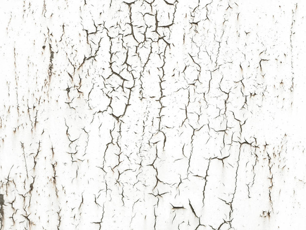 White rusty metal background. Crack. - Photo, Image