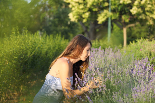 Beautiful woman is enjoying a lavender - Zdjęcie, obraz