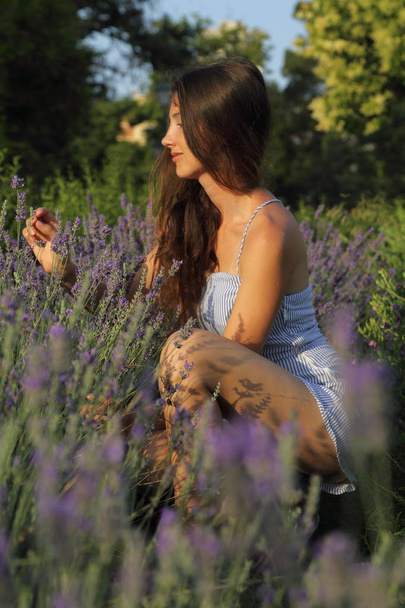 Young woman is enjoying a lavender - Foto, Imagem