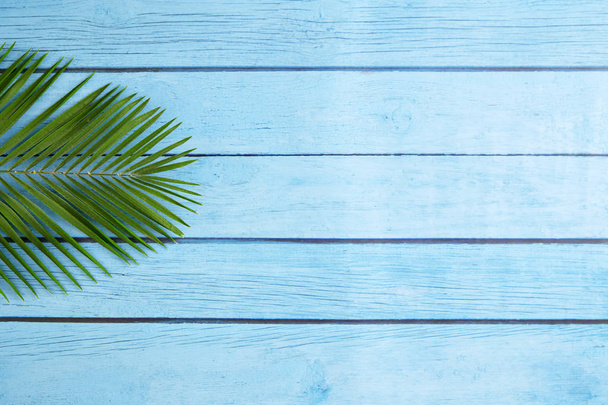tropical plant on blue wooden floor - Zdjęcie, obraz