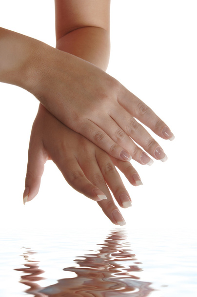 woman's hand isolated - Foto, Imagen