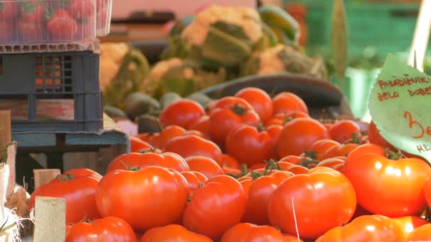 Blick auf frische Bio-Tomaten lokaler Produzenten. - Filmmaterial, Video