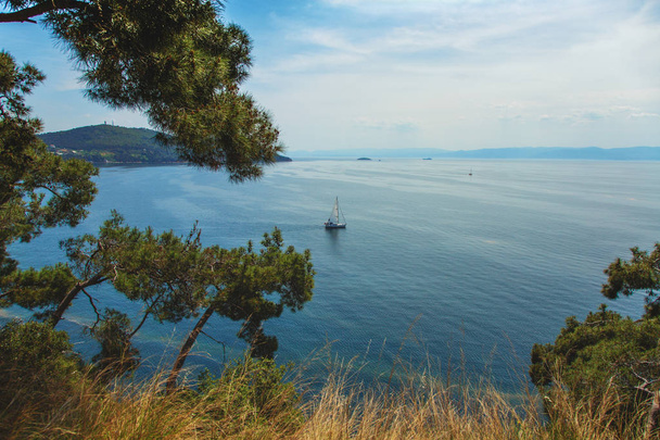 Landscape through the forest of Heybeliada island on Marmara sea and Istanbul on background - 写真・画像
