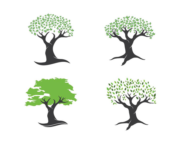 Drzewo liść logo wektor projekt, ekologiczny  - Wektor, obraz