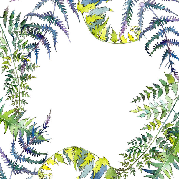 Fern green leaves. Watercolor background illustration set. Frame border ornament square. - Foto, Imagem