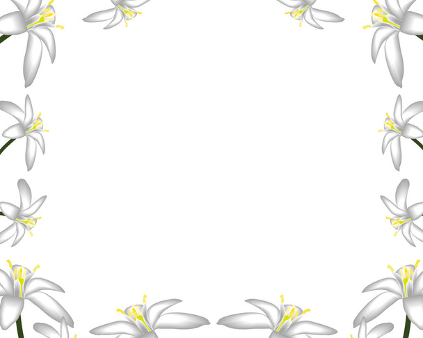 Primroses flowers white frame background - Vector, afbeelding