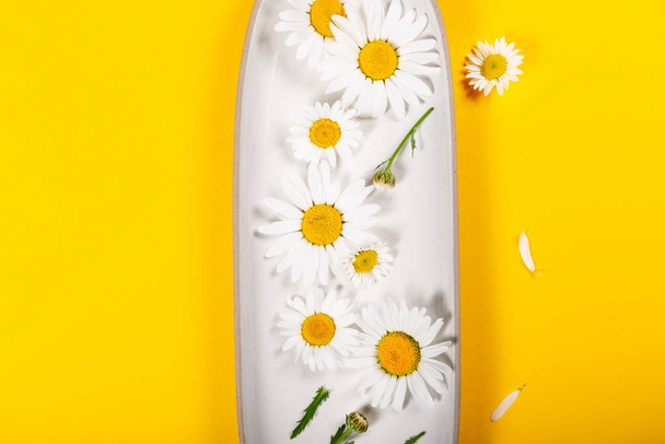 Floral μοτίβο χαμομηλιού σε φωτεινό κίτρινο φόντο - Φωτογραφία, εικόνα