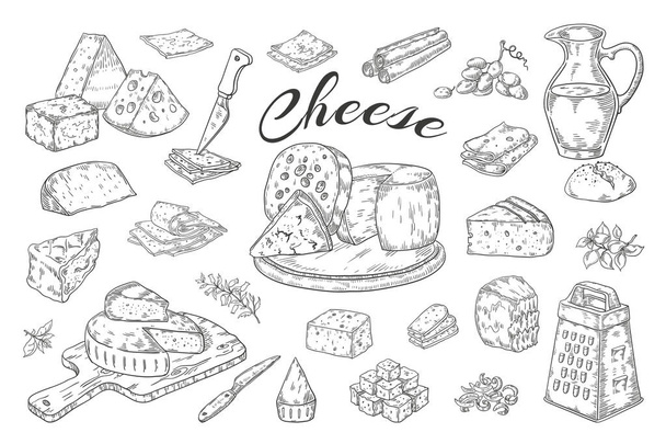 Peynir çizimi. El çizilmiş süt ürünleri, gurme gıda dilimleri, çedar Parmesan brie. Vektör kahvaltı vintage illüstrasyon - Vektör, Görsel