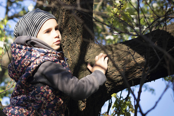 Una joven trepa a un árbol
. - Foto, imagen