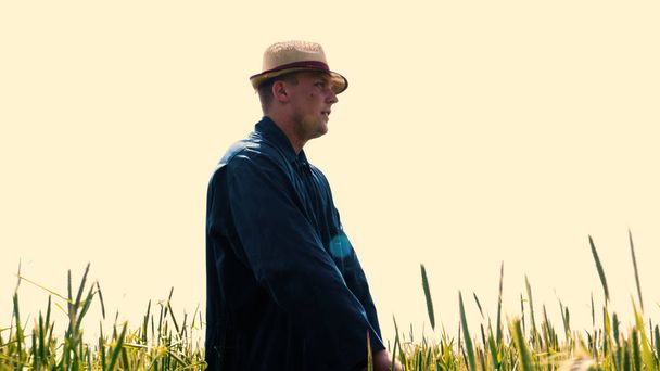 Portrait of a young guy (man) in a working uniform and a straw hat in the middle of a field around wheat and hay, running around it and checking the wheat for maturity, heat field in a shirt and straw hat breathes in the fresh air and feels free. Con - Photo, Image