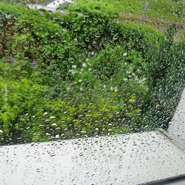 Druppels regen op het glas. Een groene tuin achter het glas. - Foto, afbeelding