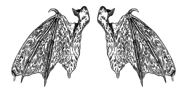 Hand drawn vintage etched woodcut fallen angel or vampire detail - Vektor, obrázek