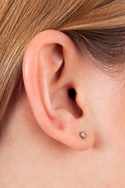 Primer plano de la oreja femenina
 - Foto, imagen