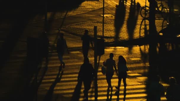 Mensen silhouet menigte verkeer op weg kruising lange schaduwen zonsondergang real-time - Video