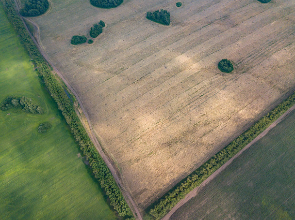 Aerial view of a green agricultural field and meadows with grass - Photo, Image