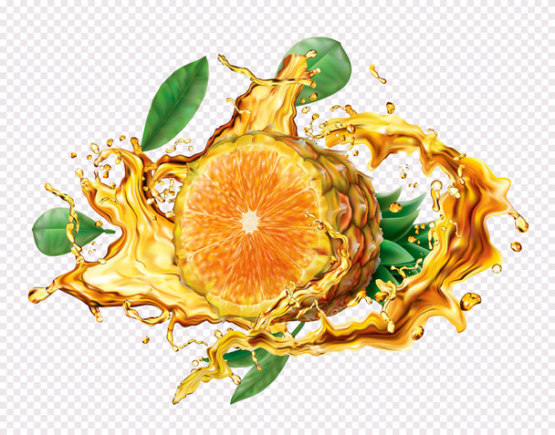 パイナップルとオレンジをジューススプラッシュに混ぜる - ベクター画像