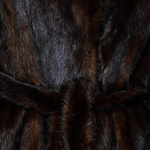 Textura přírodní skvrnitá hnědá lesklá srst s pásem - Fotografie, Obrázek