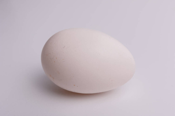 egg-isolated - Fotó, kép