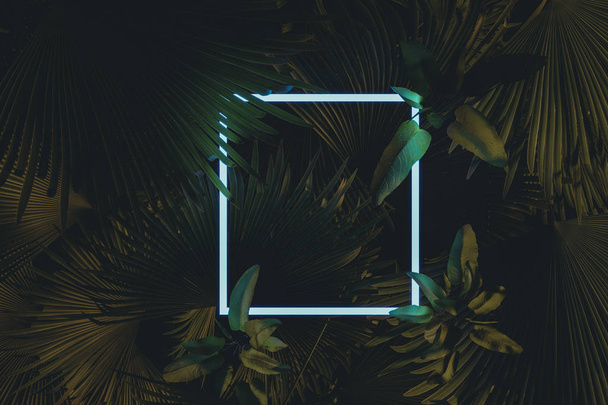 3d rendering of white square neon light with tropical leaves.. F - Photo, image