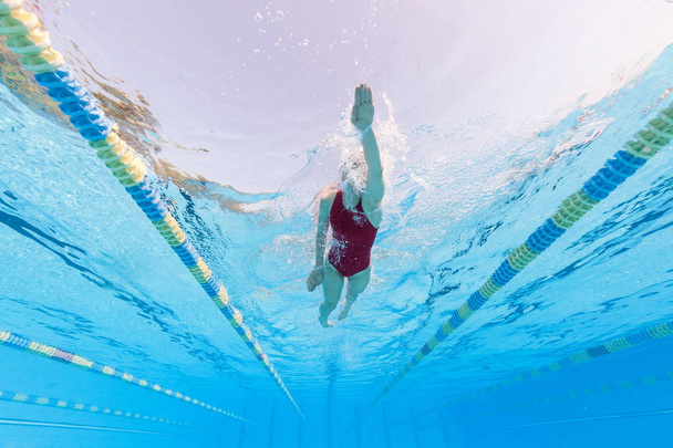 プールの水から見たプロの女性水泳選手、水中ショット - 写真・画像