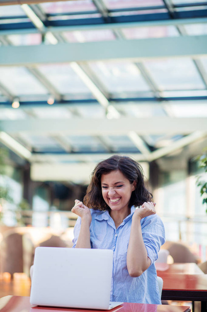 Femme souriante excitée célébrant la victoire en ligne, utilisant un ordinateur portable dans un café, regardant l'écran, criant avec les mains levées
. - Photo, image