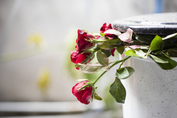 Stare róże na śmieci bin-Break moje serce po cenach dumpingowych czerwonych róż - Zdjęcie, obraz
