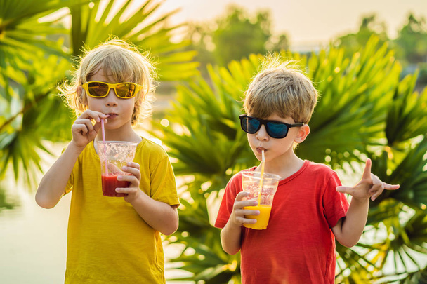 Two boys drink healthy smoothies against the backdrop of palm trees. Mango and watermelon smoothies. Healthy nutrition and vitamins for children - Zdjęcie, obraz