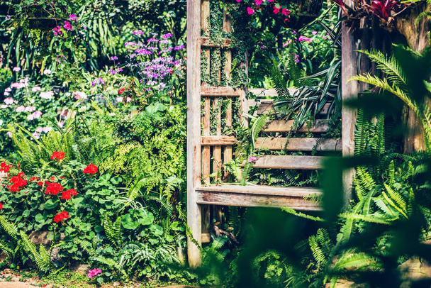 Çiçek bahçesindeki bankta. Parkta - Fotoğraf, Görsel