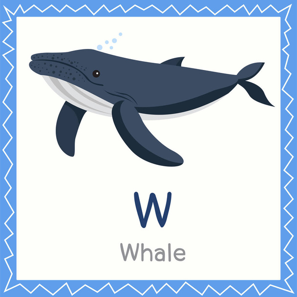 Illustrator of W for Whale animal - Vector, imagen