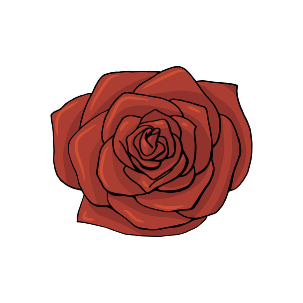 fleur rose dessinée à la main. élément de design floral
 - Vecteur, image