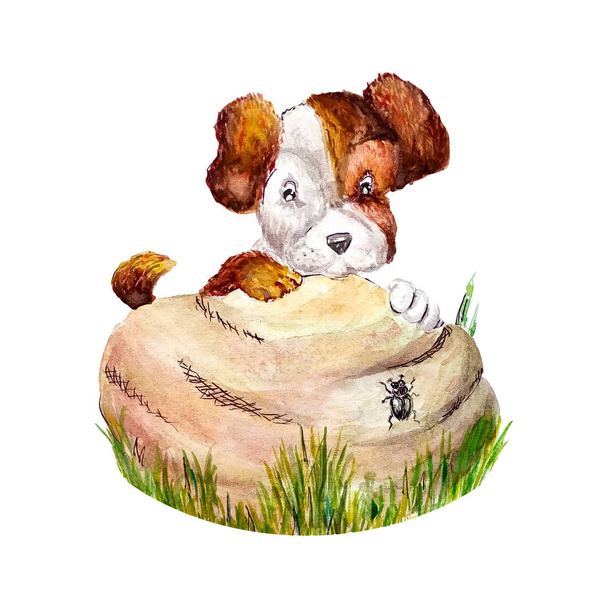 Акварель забавная счастливая маленькая щенячья собачка прячется за камнем, на котором ползает жук. Изолированный на белом фоне
 - Фото, изображение