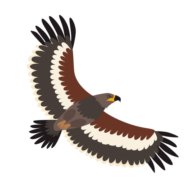 Steppe eagle icon vector illustration. Cartoon style bird, isolated on a white background - Vector, afbeelding