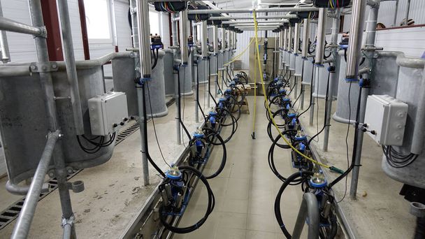 Modern equipment for milking cows on a new farm - Photo, Image