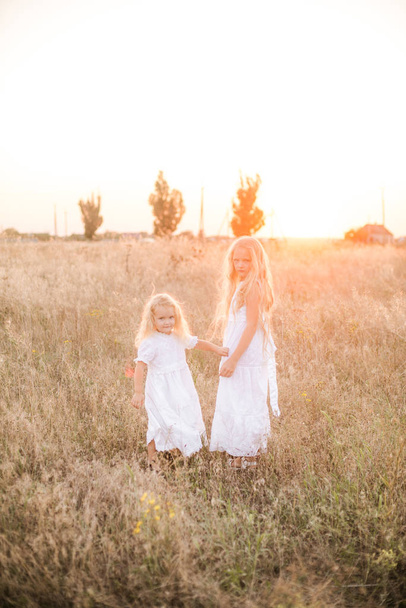Cute girl with blond long hair with a younger sister in a summer field at sunset with a white dress - Valokuva, kuva