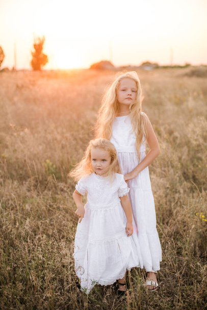 Cute girl with blond long hair with a younger sister in a summer field at sunset with a white dress - Foto, afbeelding