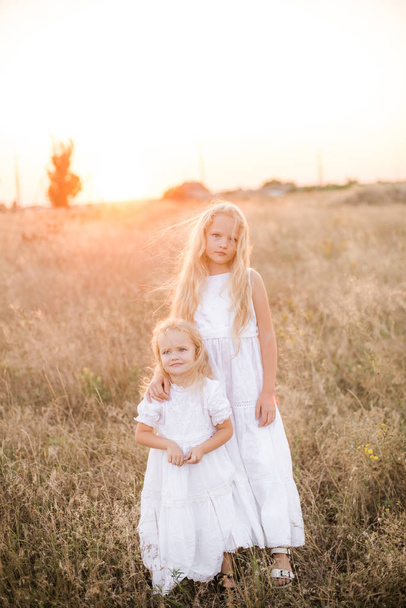 Cute girl with blond long hair with a younger sister in a summer field at sunset with a white dress - Φωτογραφία, εικόνα
