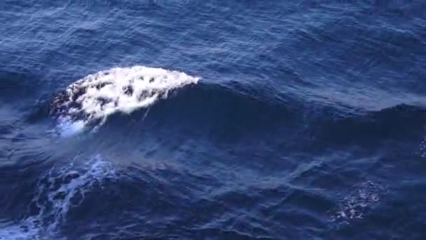 Hullámok hab egy csónak mögött. A víz hullámainak mintái. Vízfelszín ébresztési kilátás a óceánjáró 4 k - Felvétel, videó
