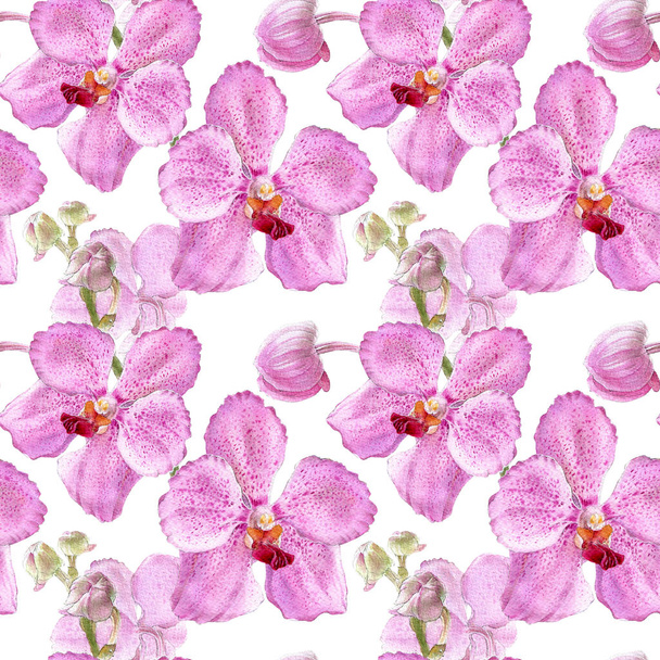 Orchid watercolor illustrations isolated on white background. Seamless pattern with colorful orchid. - Valokuva, kuva